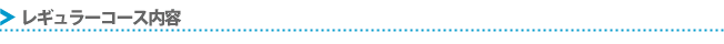 レギュラーコース内容