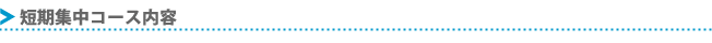短期集中コース内容